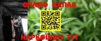 сатива Нарткала
