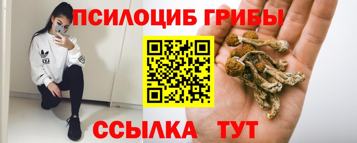 Галлюциногенные грибы Psilocybe  как найти закладки  Славянск-на-Кубани  Псилоцибиновые грибы мицелий  Вход с VPN 